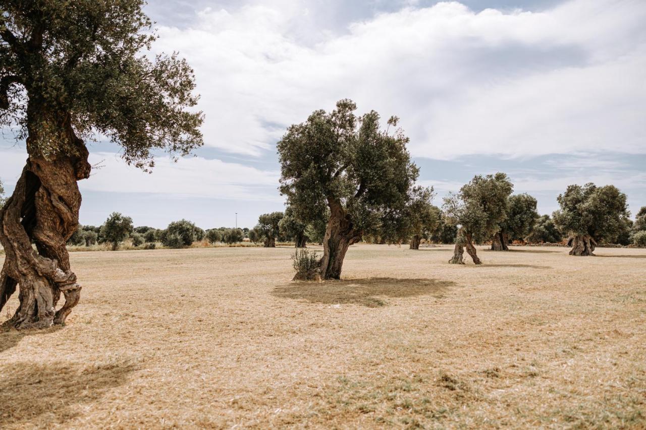 Masseria Garrappa Фазано Екстер'єр фото