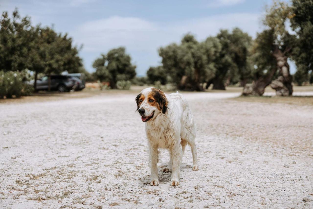 Masseria Garrappa Фазано Екстер'єр фото